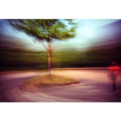 dailyPhoto16